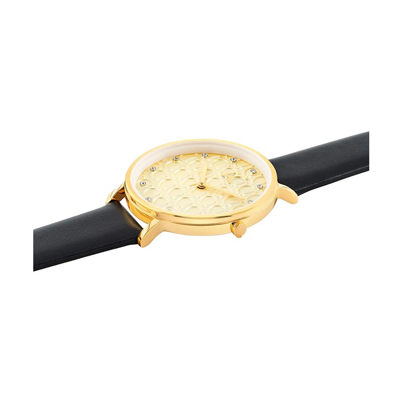 ساعت زنانه پیرکاردین Pierre Cardin کد CBN.3051