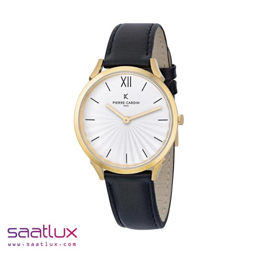 ساعت مردانه پیرکاردین Pierre Cardin کد 009176 